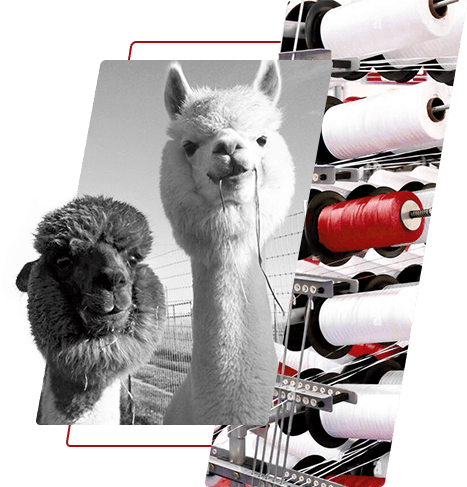 Värjätty polyesterilanka